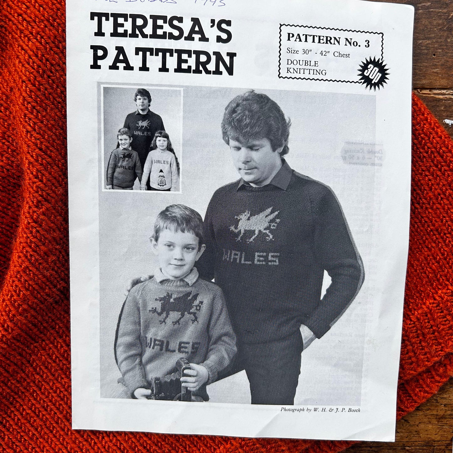 Teresa's Pattern - Double Knitting - Welsh Dragon - No. 3 (Preloved)