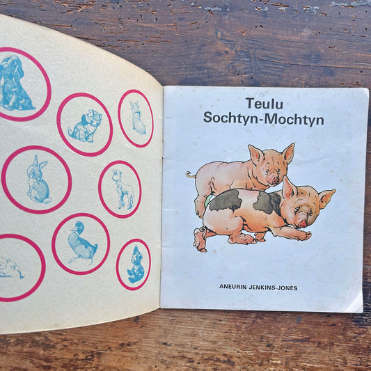Teulu Sochtyn-Mochtyn - Cyfres y Frân Wen - 13 (Preloved)