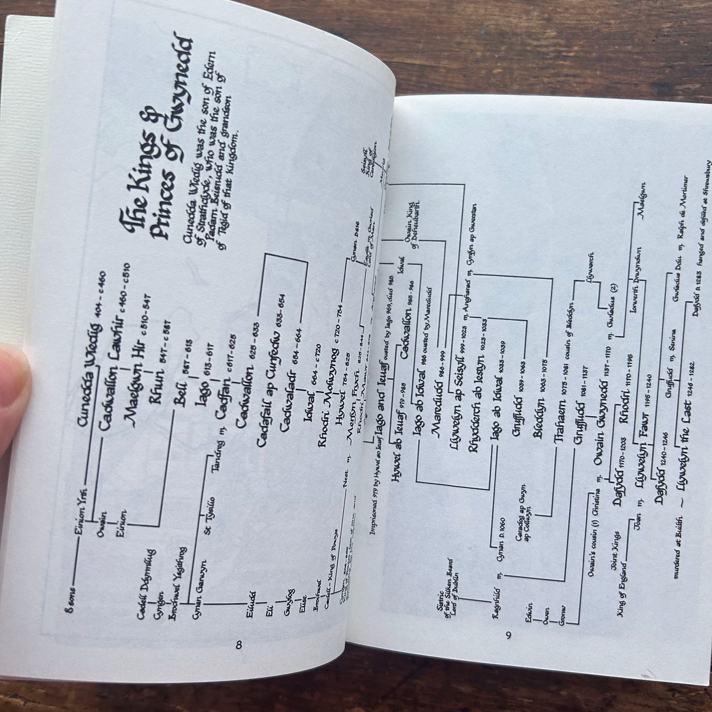 The Conwy Valley and The Lands of History - 1988 (Preloved)