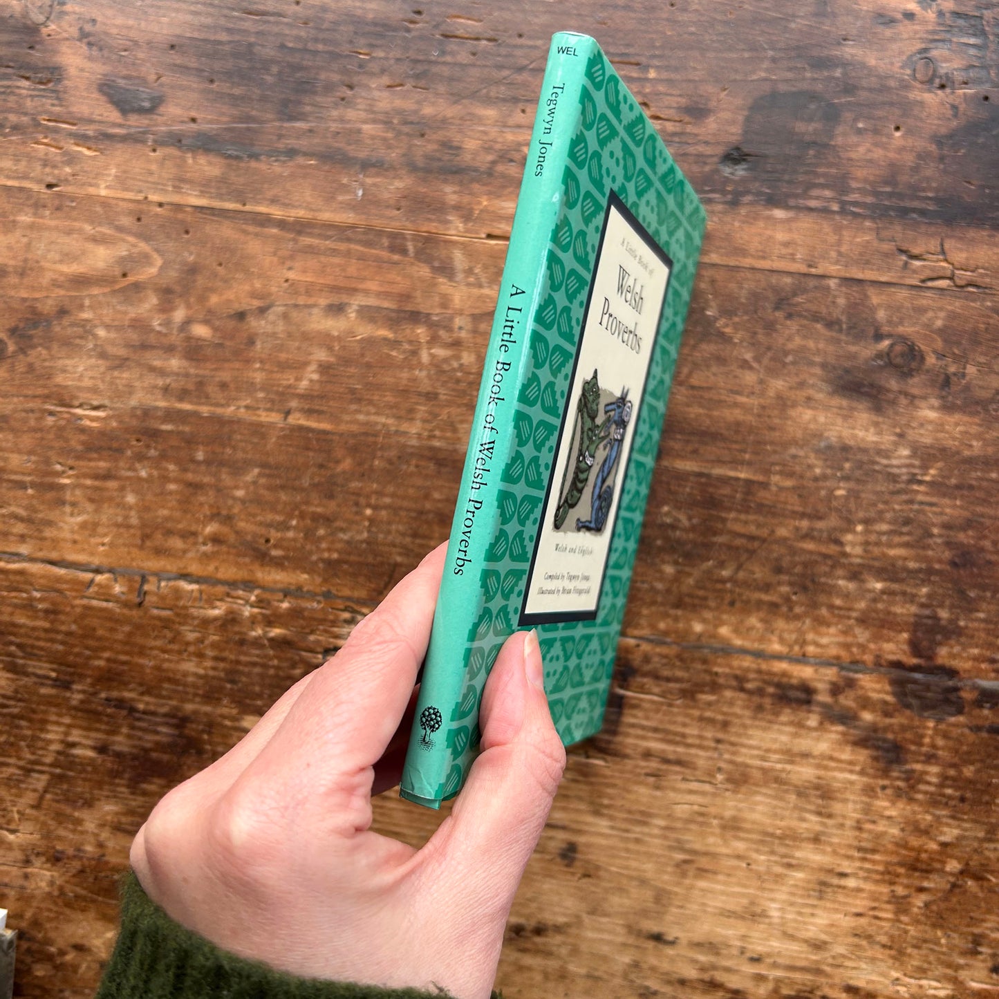 The Little Book of Welsh Proverbs (Preloved)