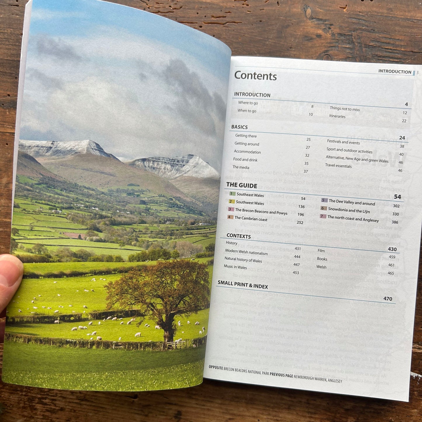 The Rough Guide to Wales (Preloved)