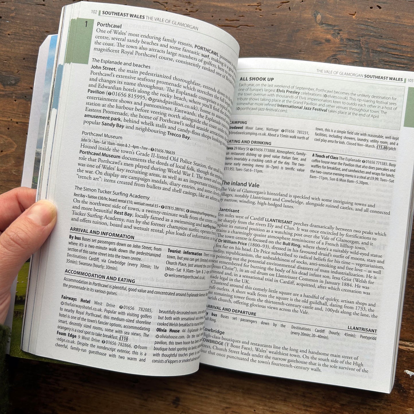 The Rough Guide to Wales (Preloved)