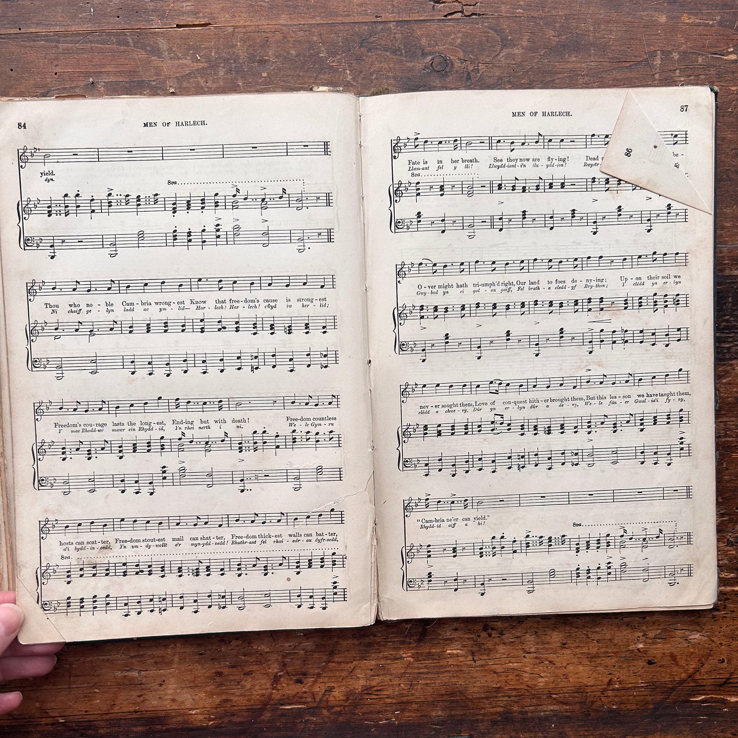 The Songs of Wales - Royal Edition - Brinley Richards - 1879 (Preloved)