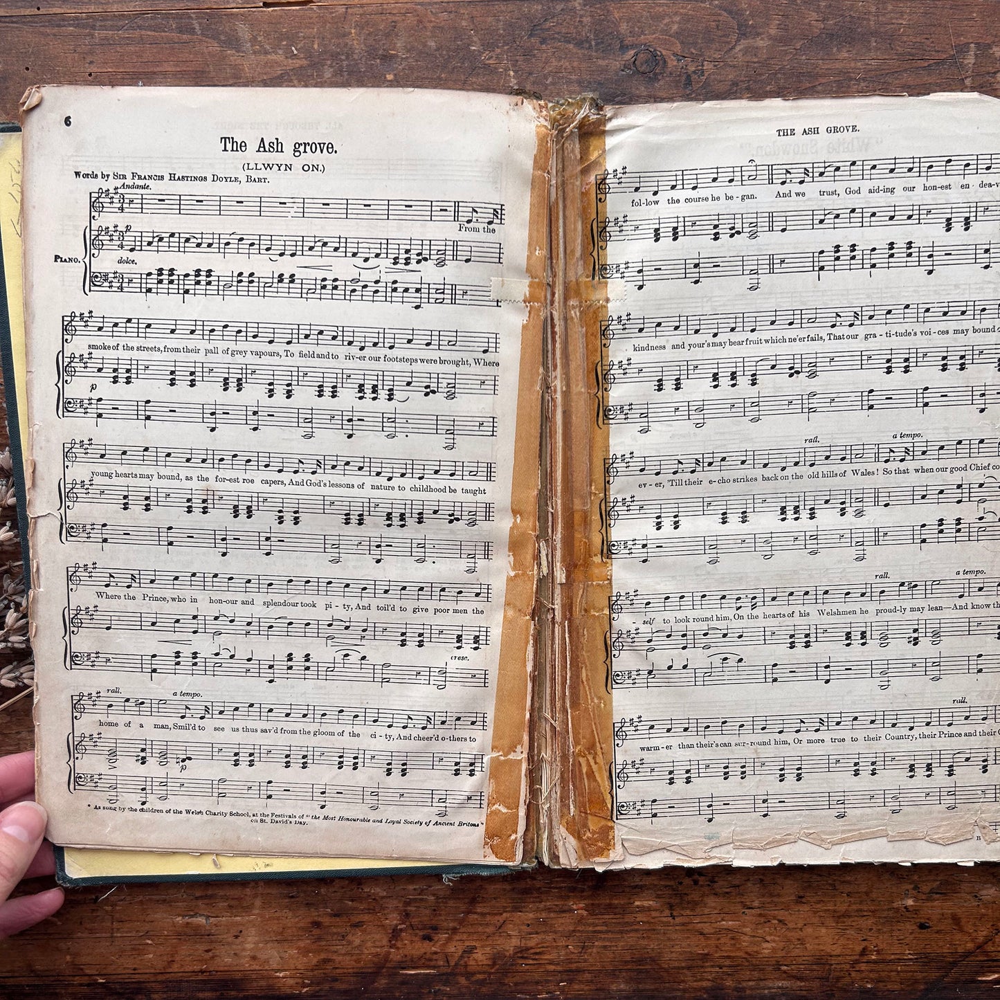 The Songs of Wales - Royal Edition - Brinley Richards - 1879 (Preloved)