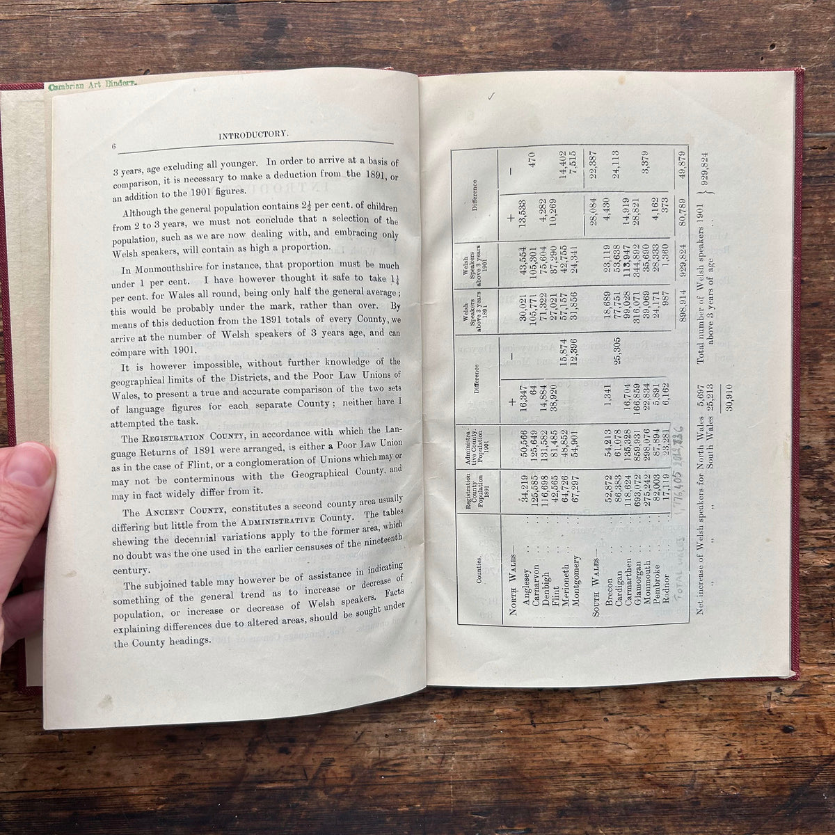 The Welsh Language Census of 1901 -  John Edward Southall (Preloved)