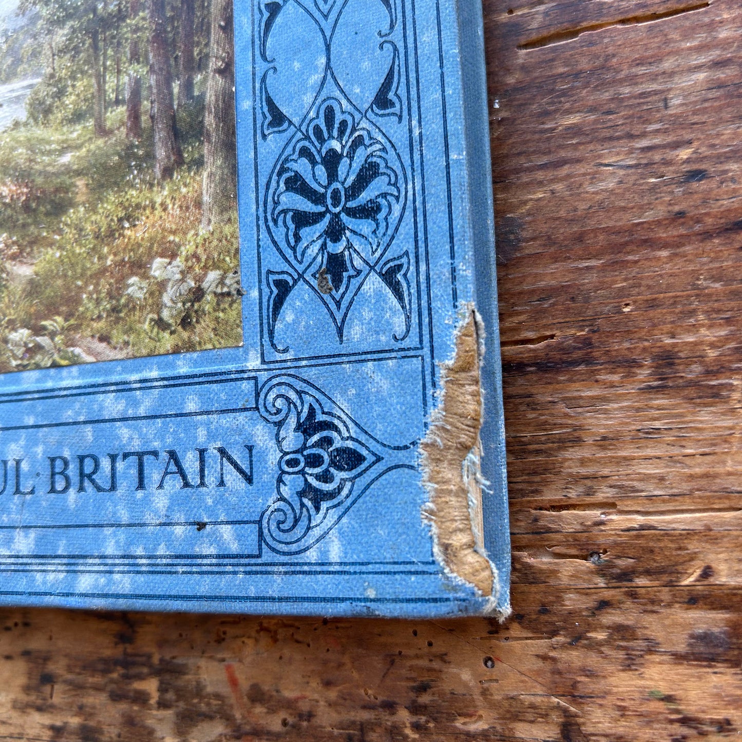 The Wye - A. G. Bradley - Beautiful Britain - 1916 (Preloved)