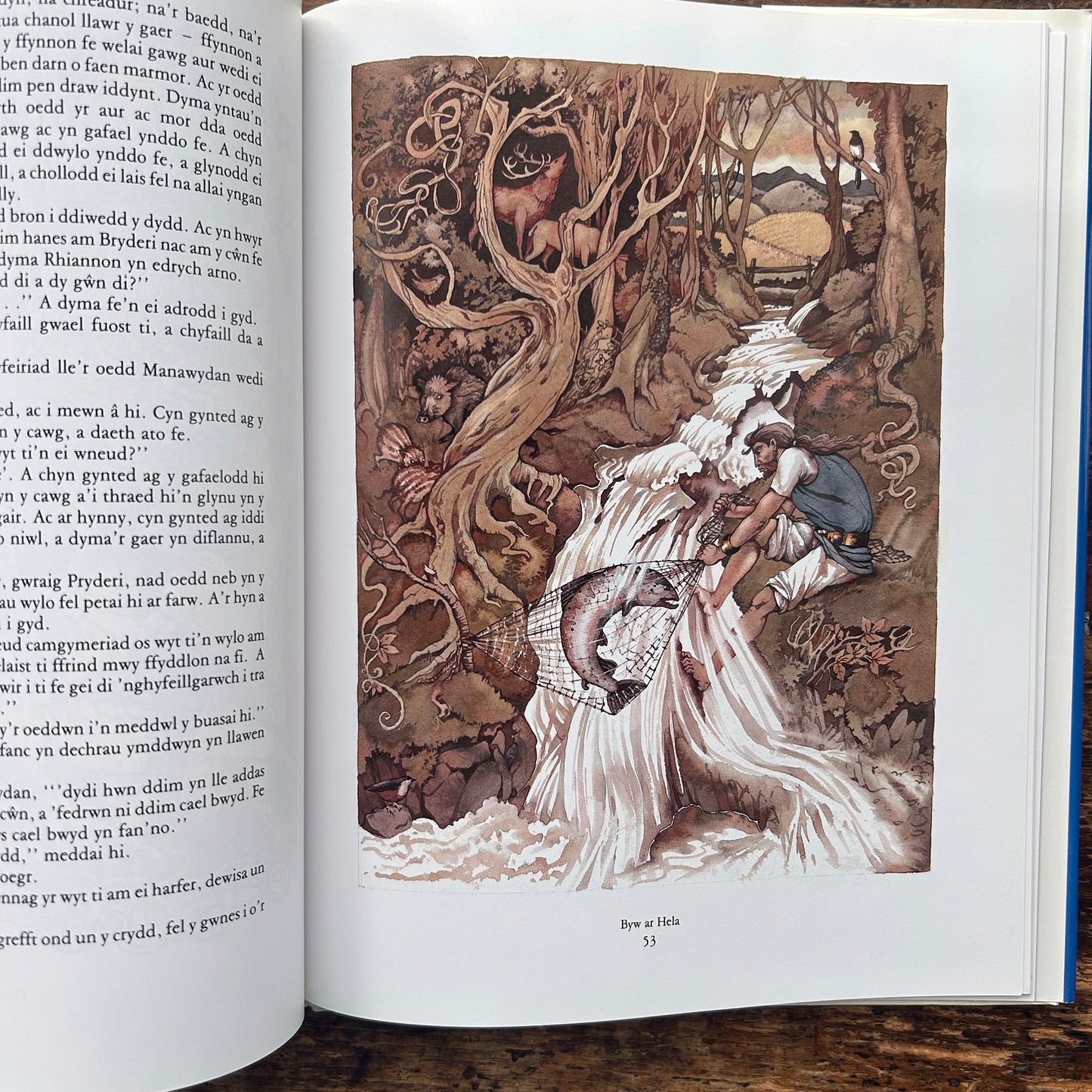 Y Mabinogi - Darluniau - Gwyn Thomas &amp; Margaret Jones (Preloved)