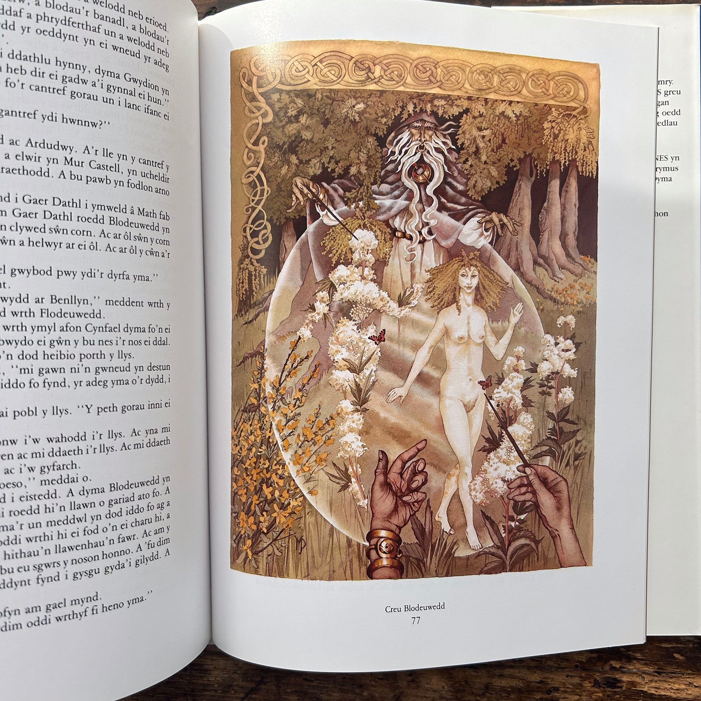 Y Mabinogi - Darluniau - Gwyn Thomas &amp; Margaret Jones (Preloved)