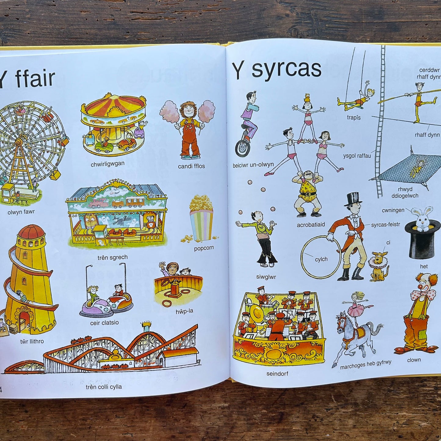 Y Geiriadur Lliwgar / First Thousand Words in Welsh (Preloved)