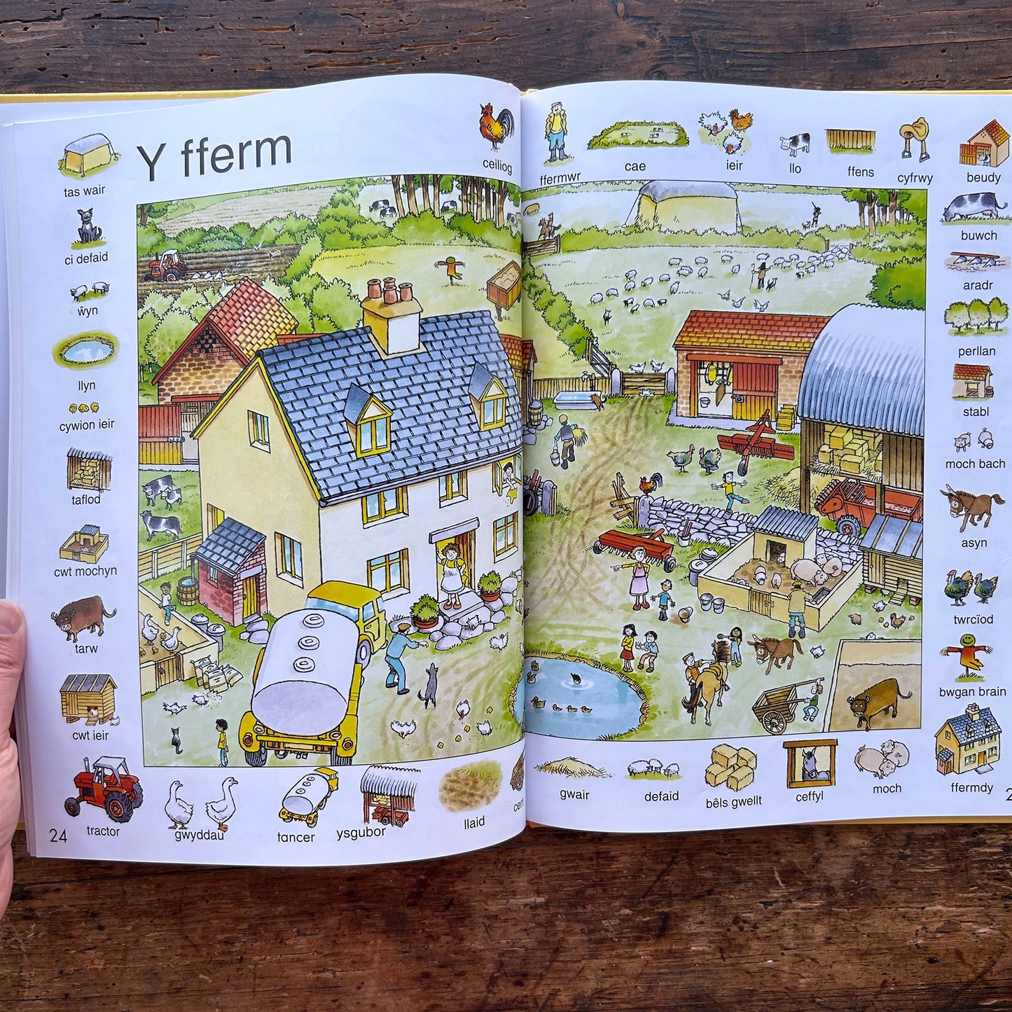 Y Geiriadur Lliwgar / First Thousand Words in Welsh (Preloved)