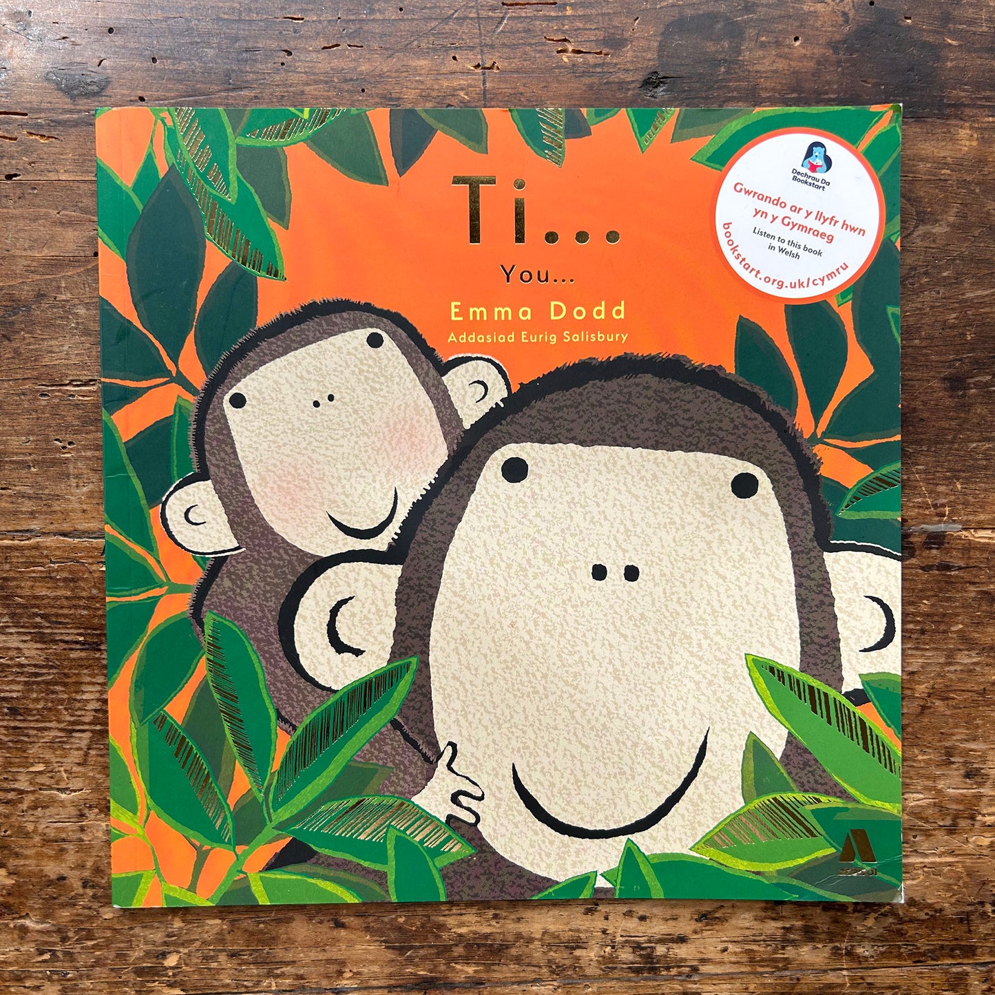 Ti... / You... - Emma Dodd - Welsh & English (Preloved)