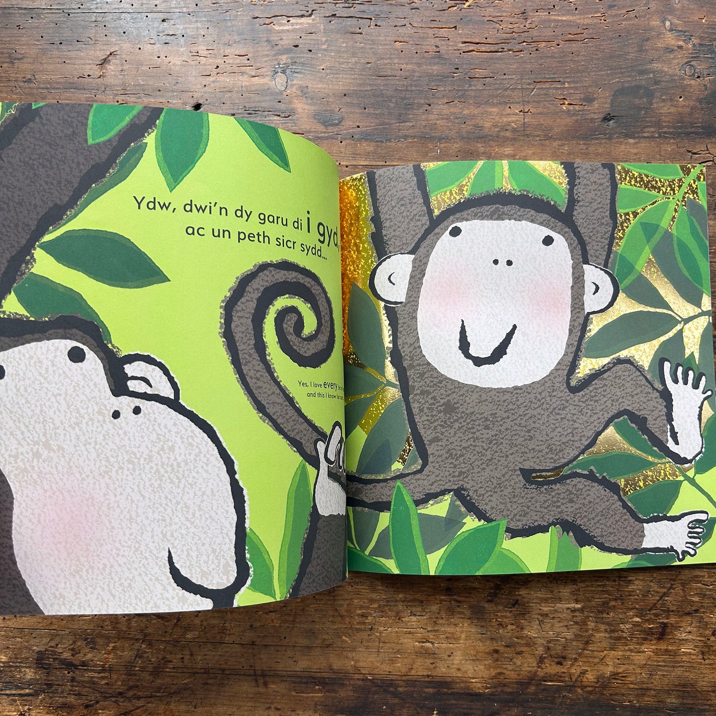 Ti... / You... - Emma Dodd - Welsh & English (Preloved)