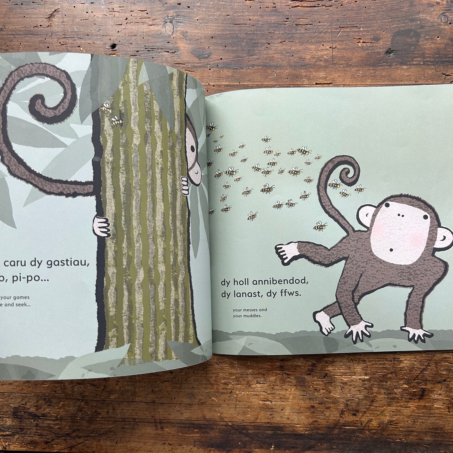Ti... / You... - Emma Dodd - Welsh & English (Preloved)