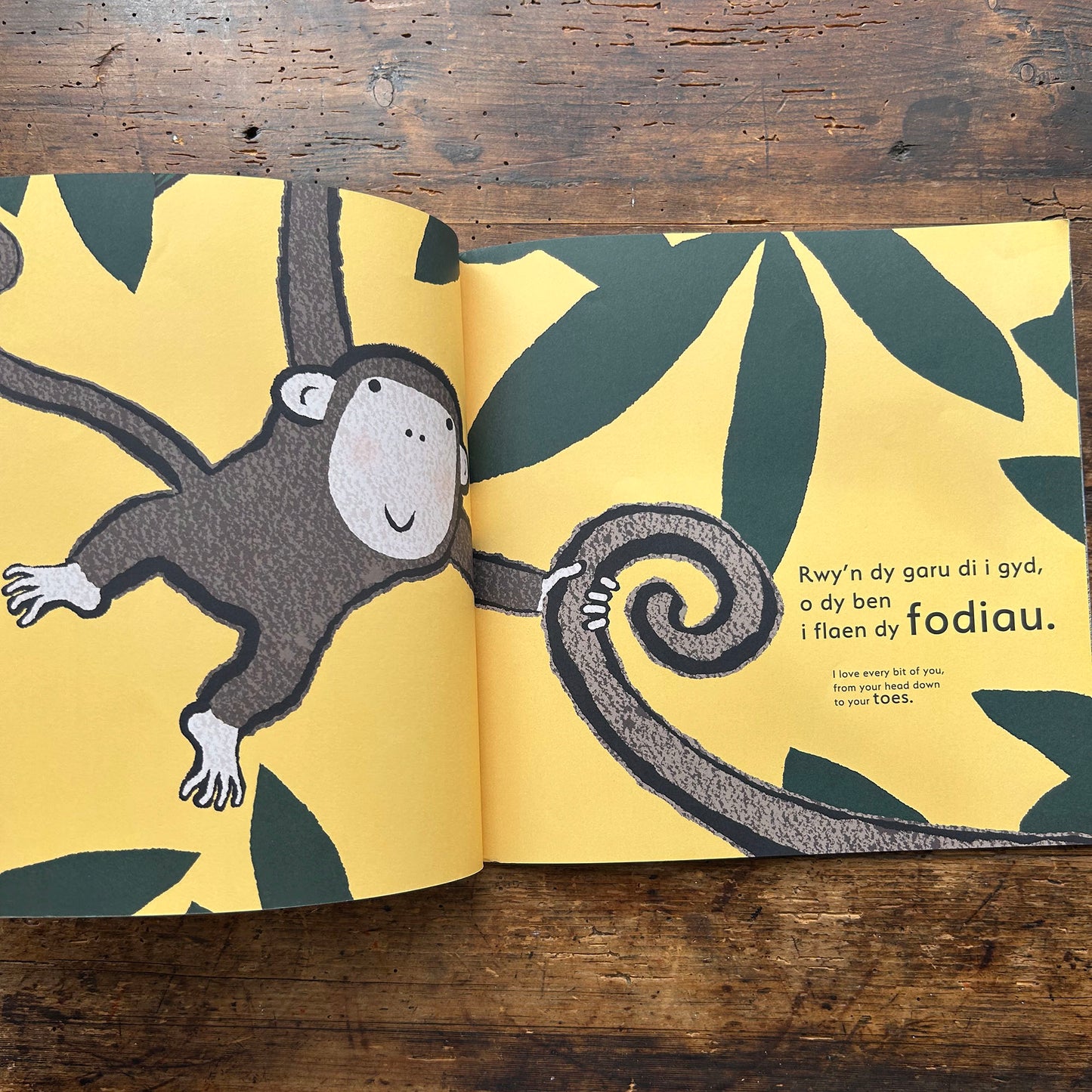 Ti... / You... - Emma Dodd - Welsh & English (Preloved)