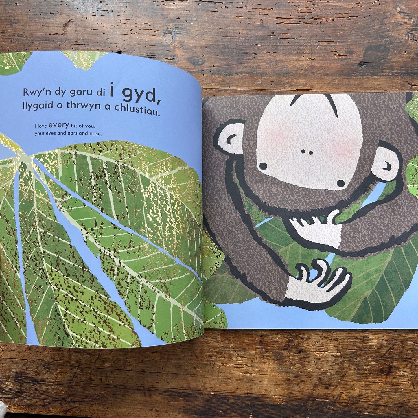 Ti... / You... - Emma Dodd - Welsh & English (Preloved)