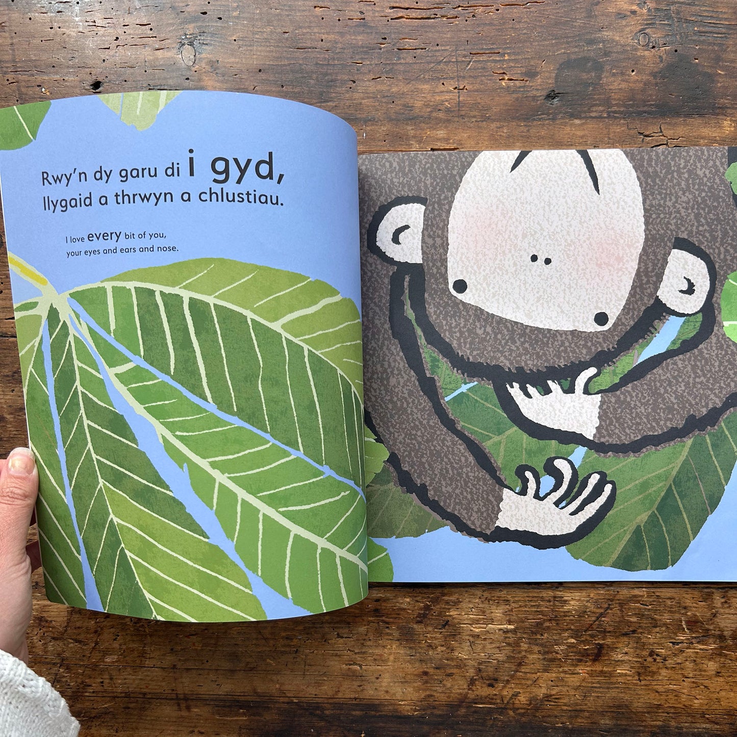 Ti... / You... - Emma Dodd - Welsh & English (Preloved)