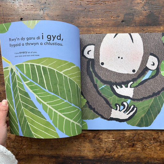 Ti... / You... - Emma Dodd - Welsh & English (Preloved)
