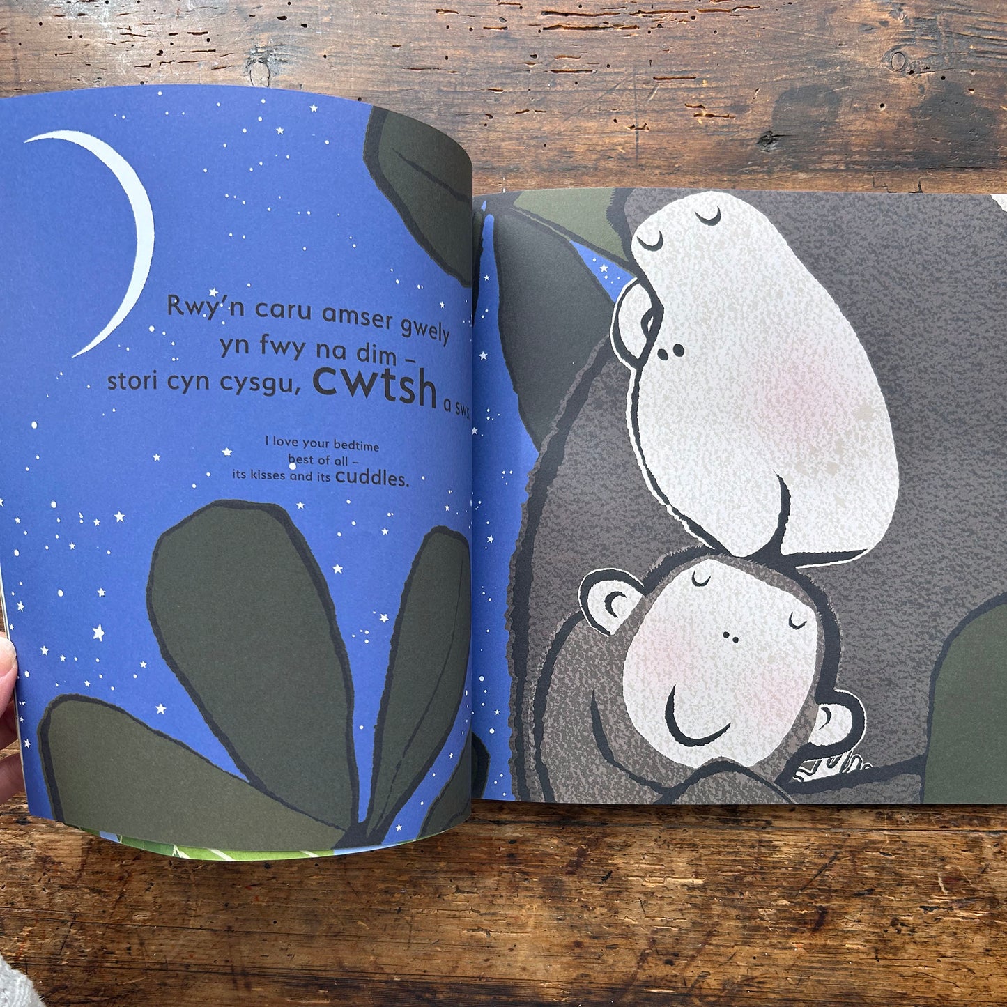 Ti... / You... - Emma Dodd - Welsh & English (Preloved)