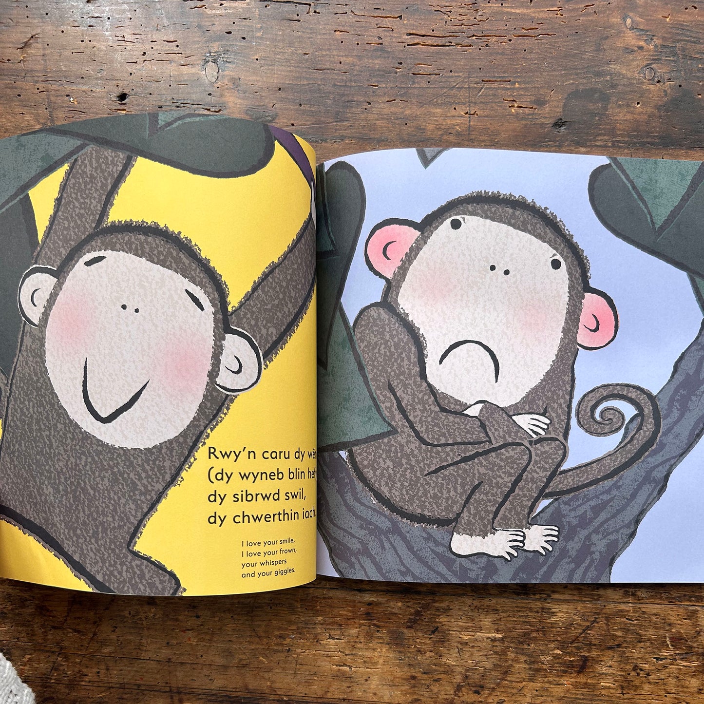 Ti... / You... - Emma Dodd - Welsh & English (Preloved)