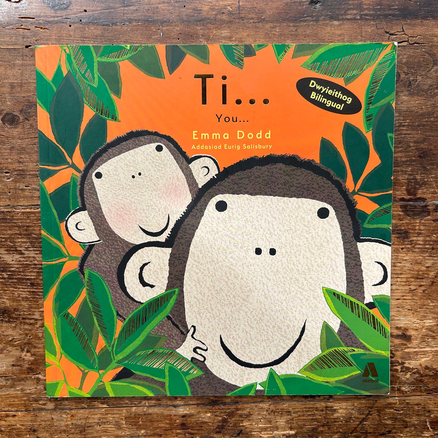 Ti... / You... - Emma Dodd - Welsh & English (Preloved)