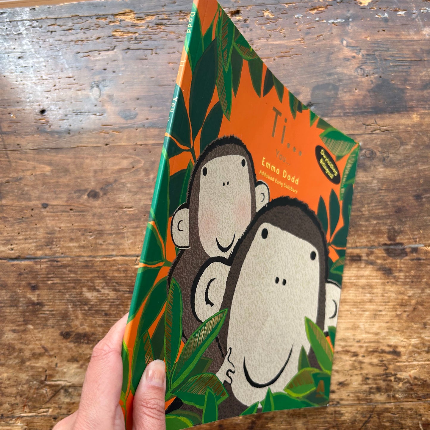 Ti... / You... - Emma Dodd - Welsh & English (Preloved)