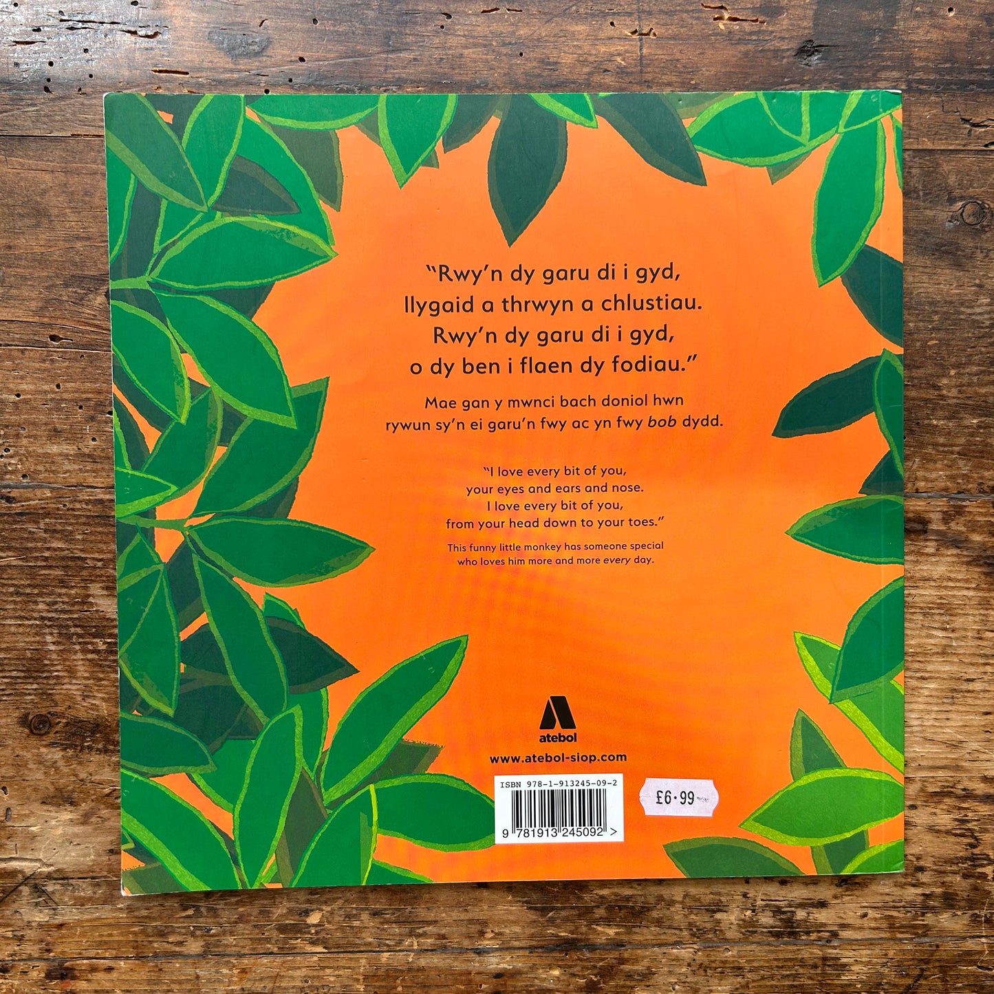 Ti... / You... - Emma Dodd - Welsh & English (Preloved)