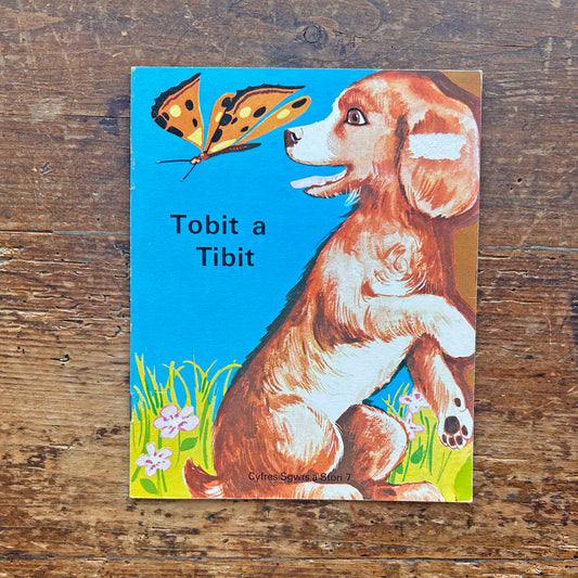 Tobit a Tibit - Cyfres Sgwrs a Stori 7 (Preloved)