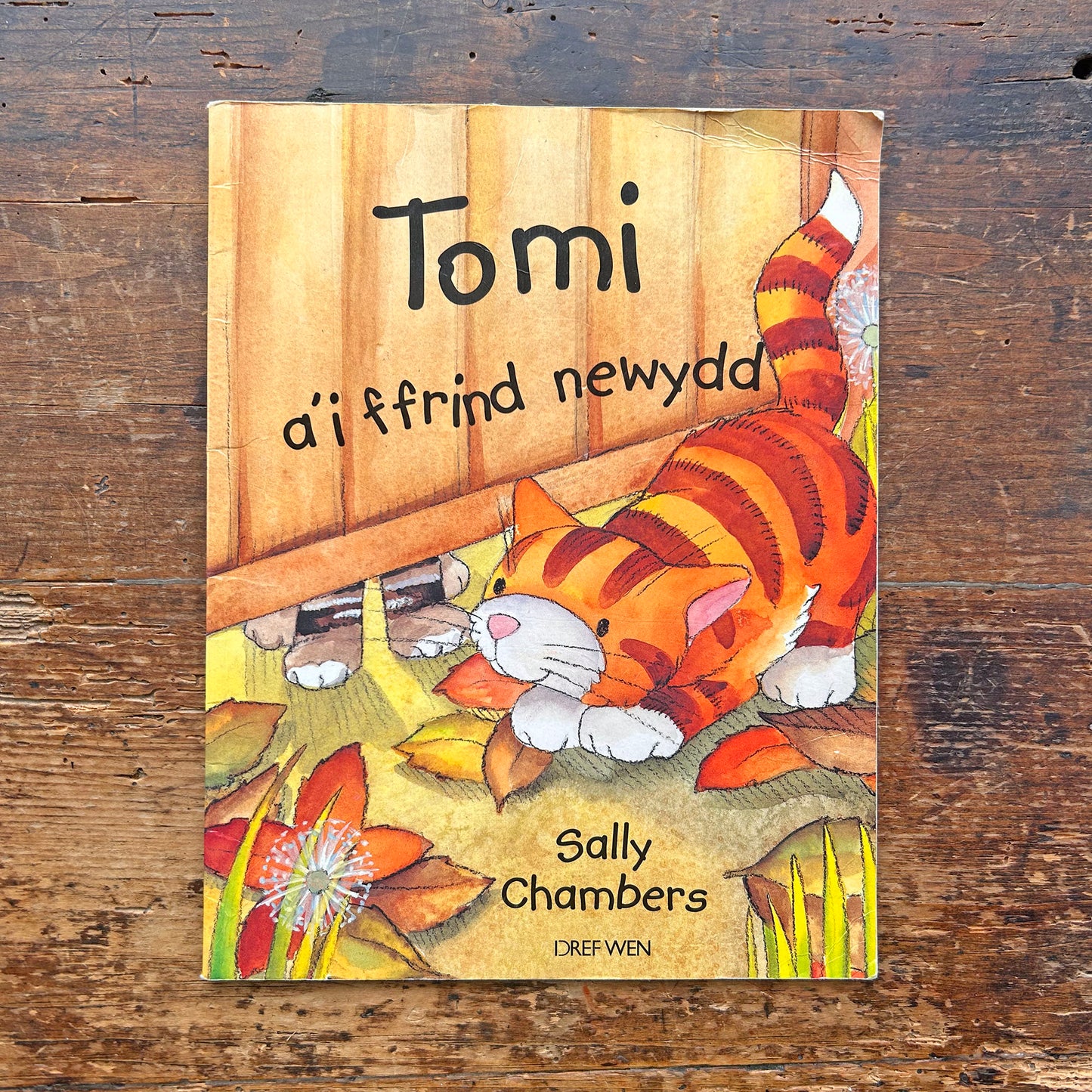Tomi a'r Ffrind Newydd - Sally Chambers (Preloved)