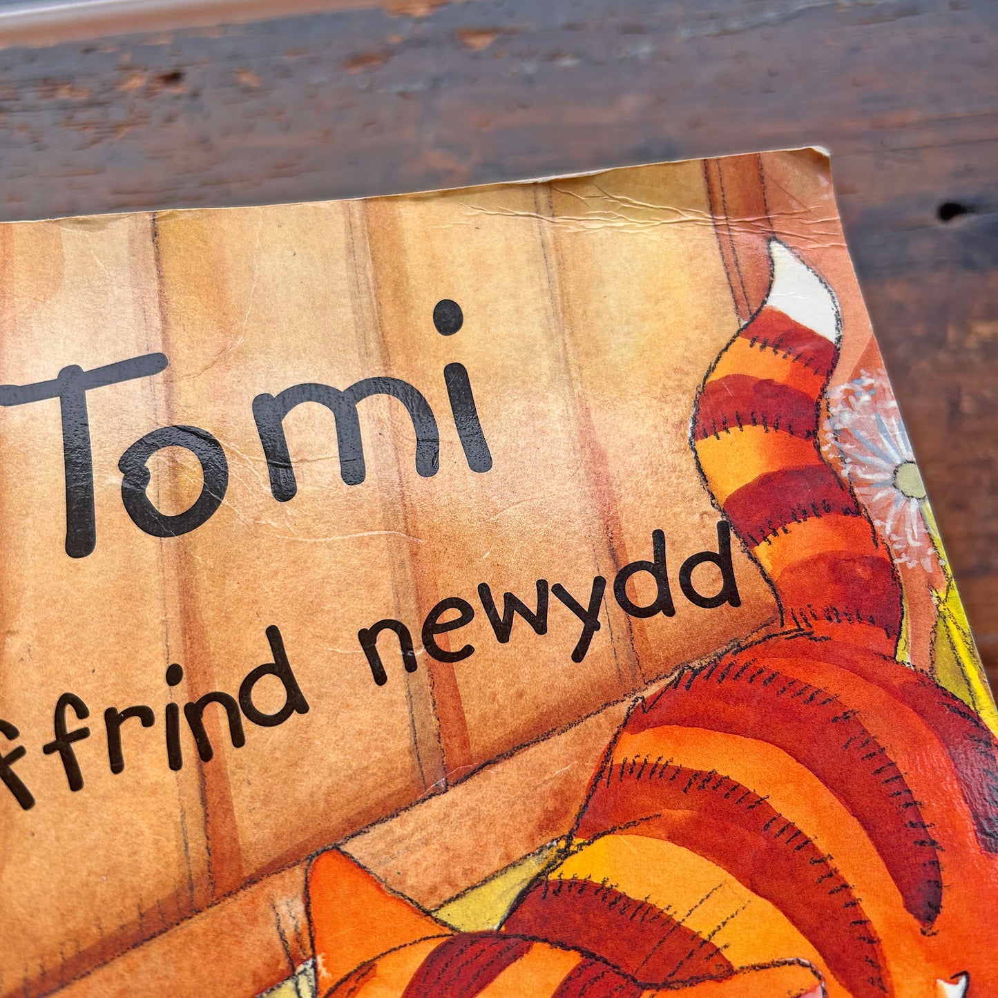 Tomi a'r Ffrind Newydd - Sally Chambers (Preloved)