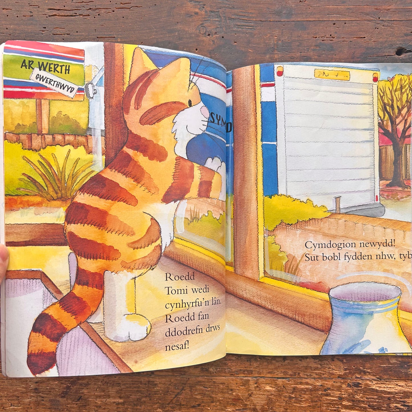 Tomi a'r Ffrind Newydd - Sally Chambers (Preloved)