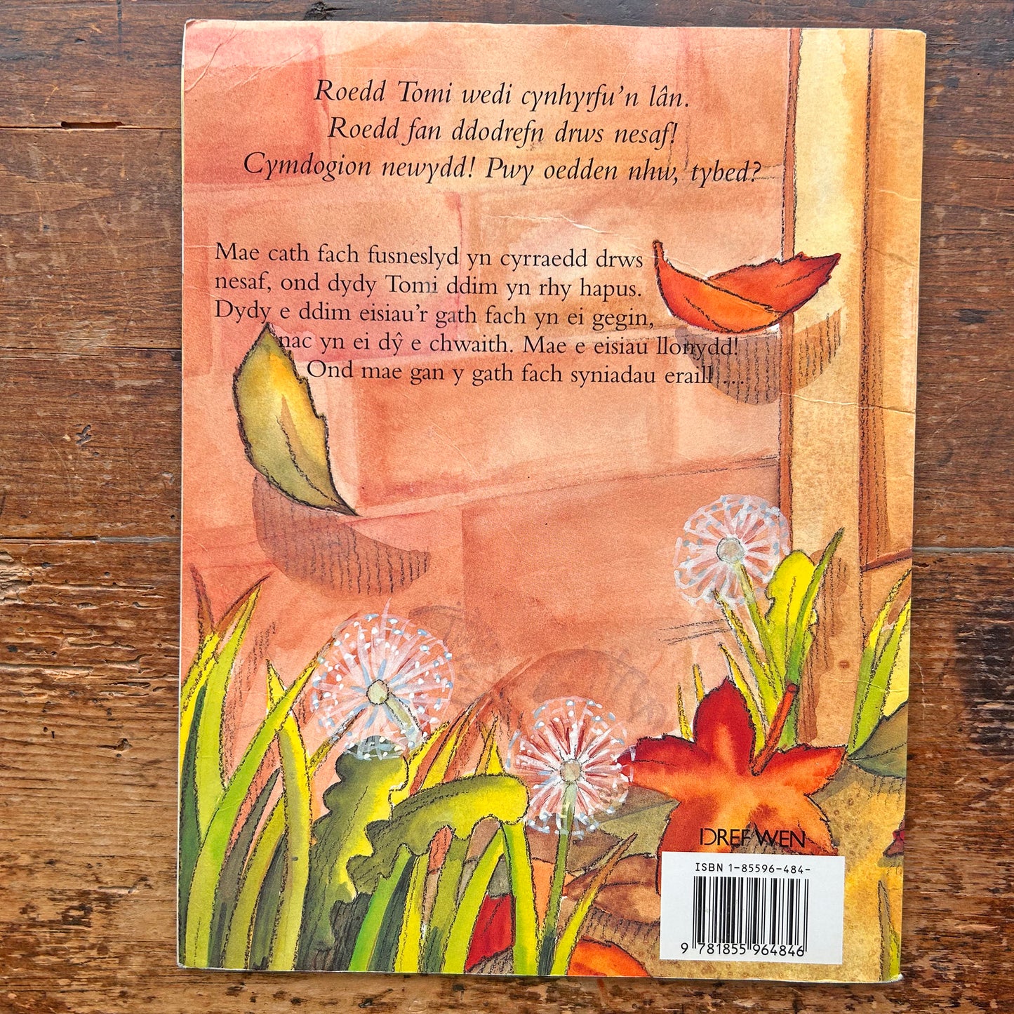 Tomi a'r Ffrind Newydd - Sally Chambers (Preloved)