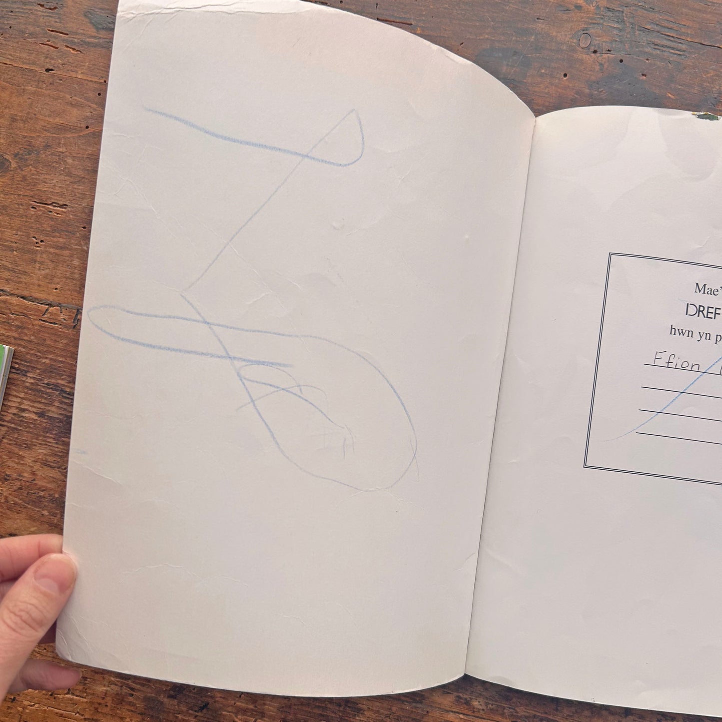 Tomi a'r Ffrind Newydd - Sally Chambers (Preloved)