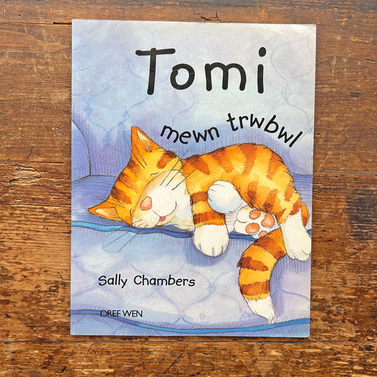 Tomi Mewn Trwbwl - Sally Chambers (Preloved)