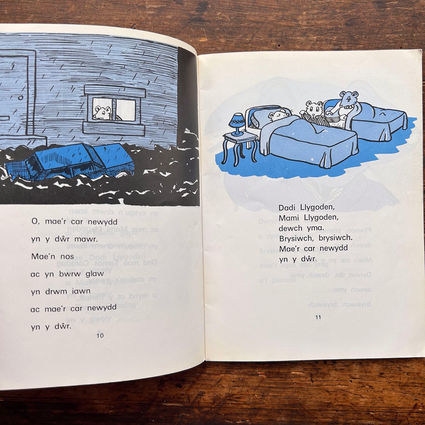 Tomos Caradog - Mary Vaughan Jones - Stori 5 (Preloved)