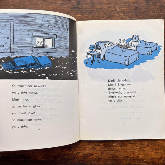 Tomos Caradog - Mary Vaughan Jones - Stori 5 (Preloved)