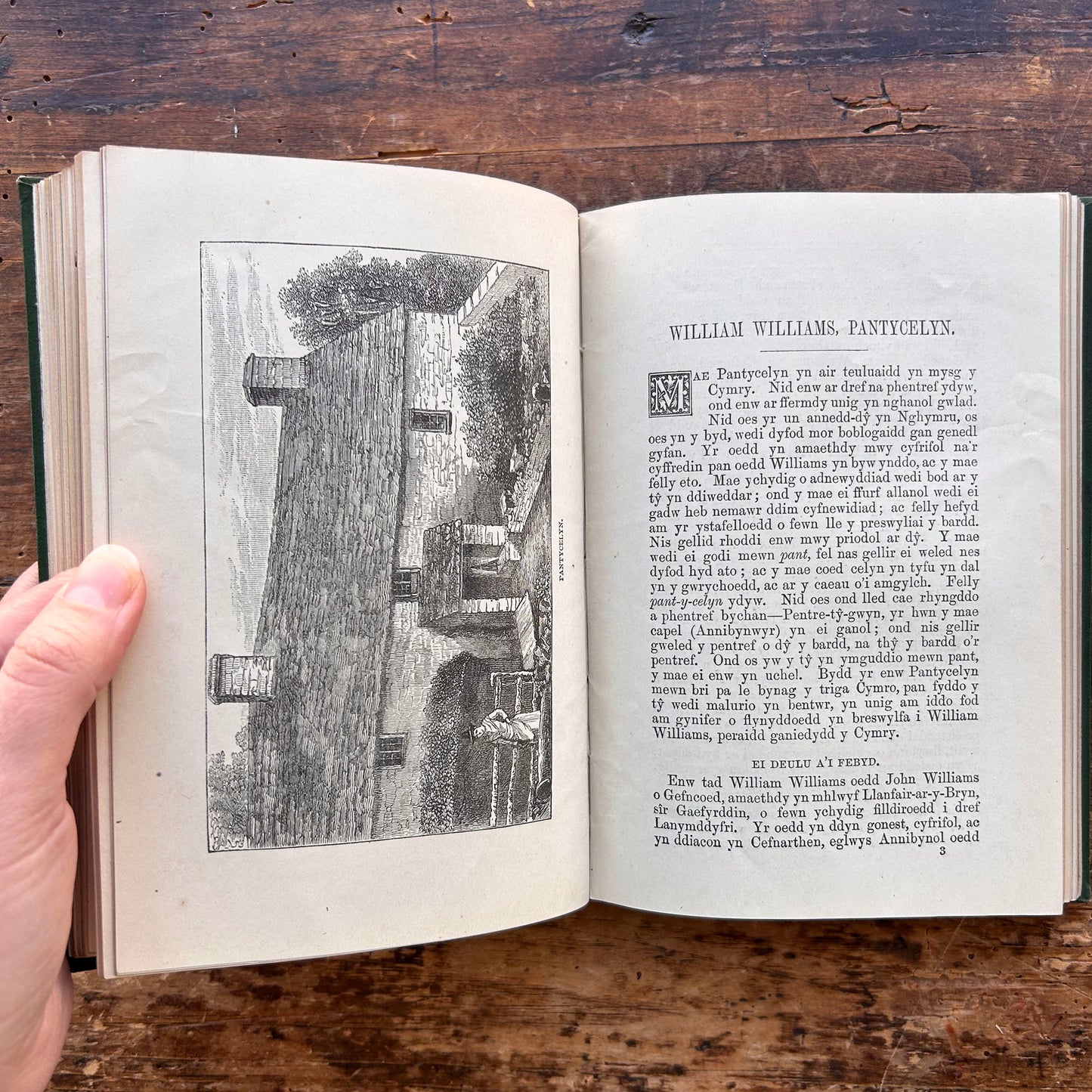 Traethodau Bywgraphyddol - Biographical Essays - Thomas Levi (Preloved)