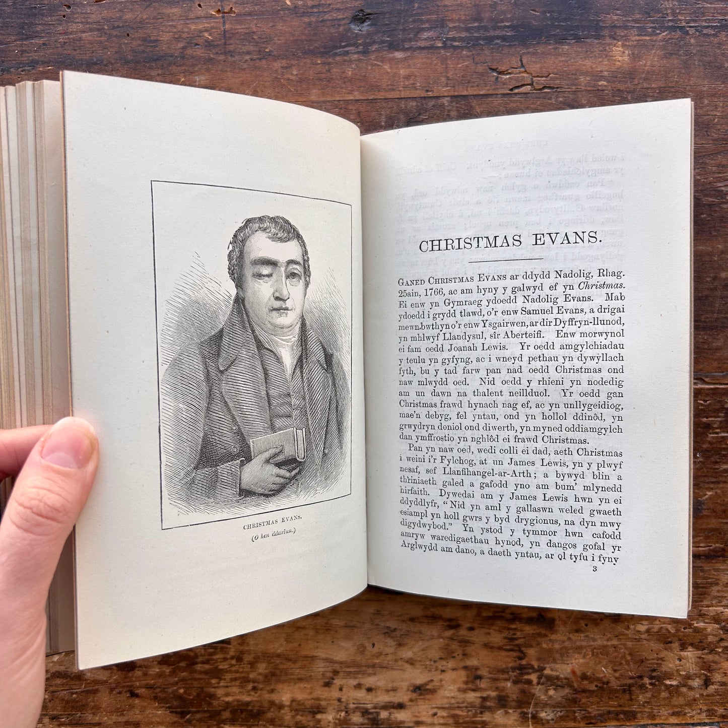 Traethodau Bywgraphyddol - Biographical Essays - Thomas Levi (Preloved)