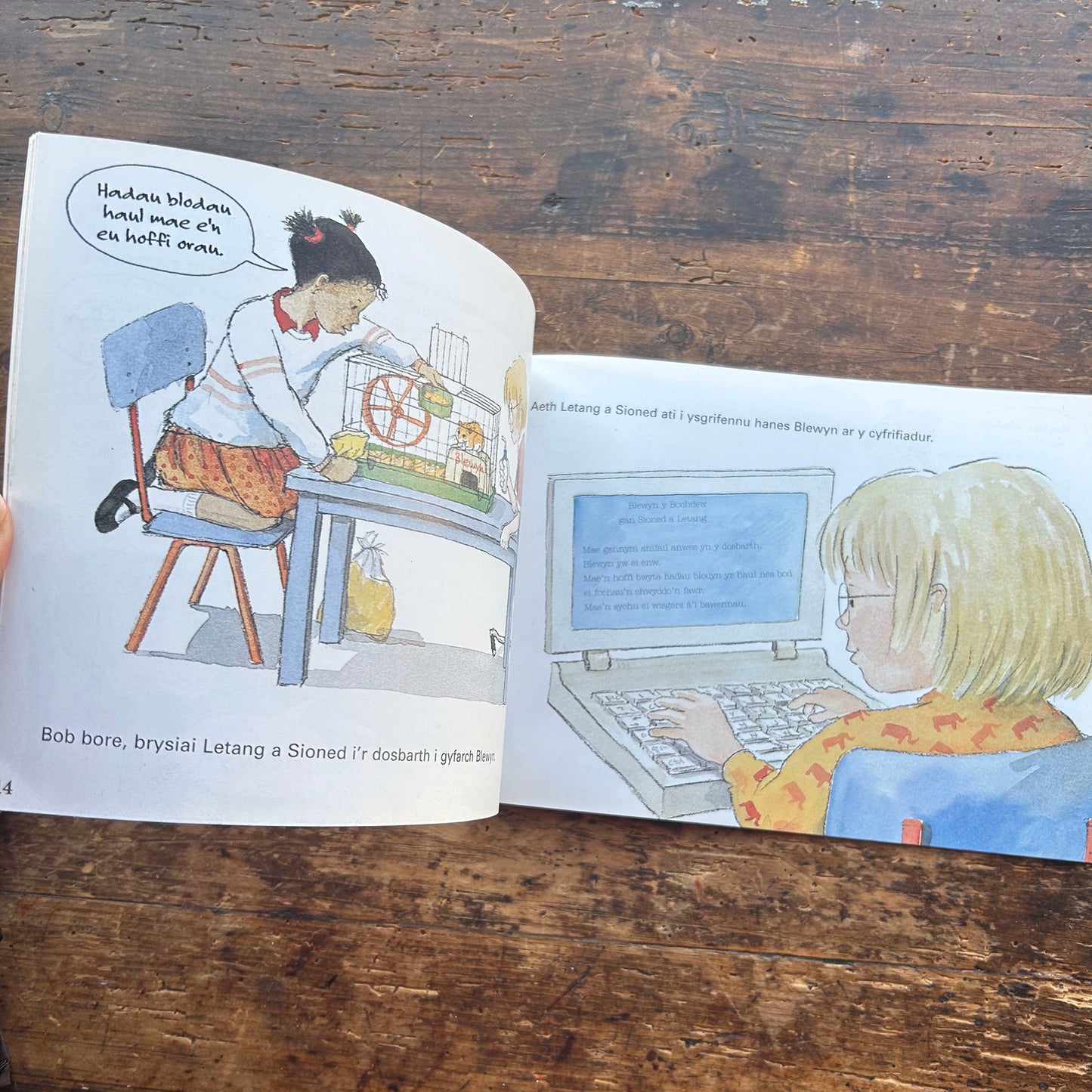 Trafferth i Letang y Sioned (Preloved)