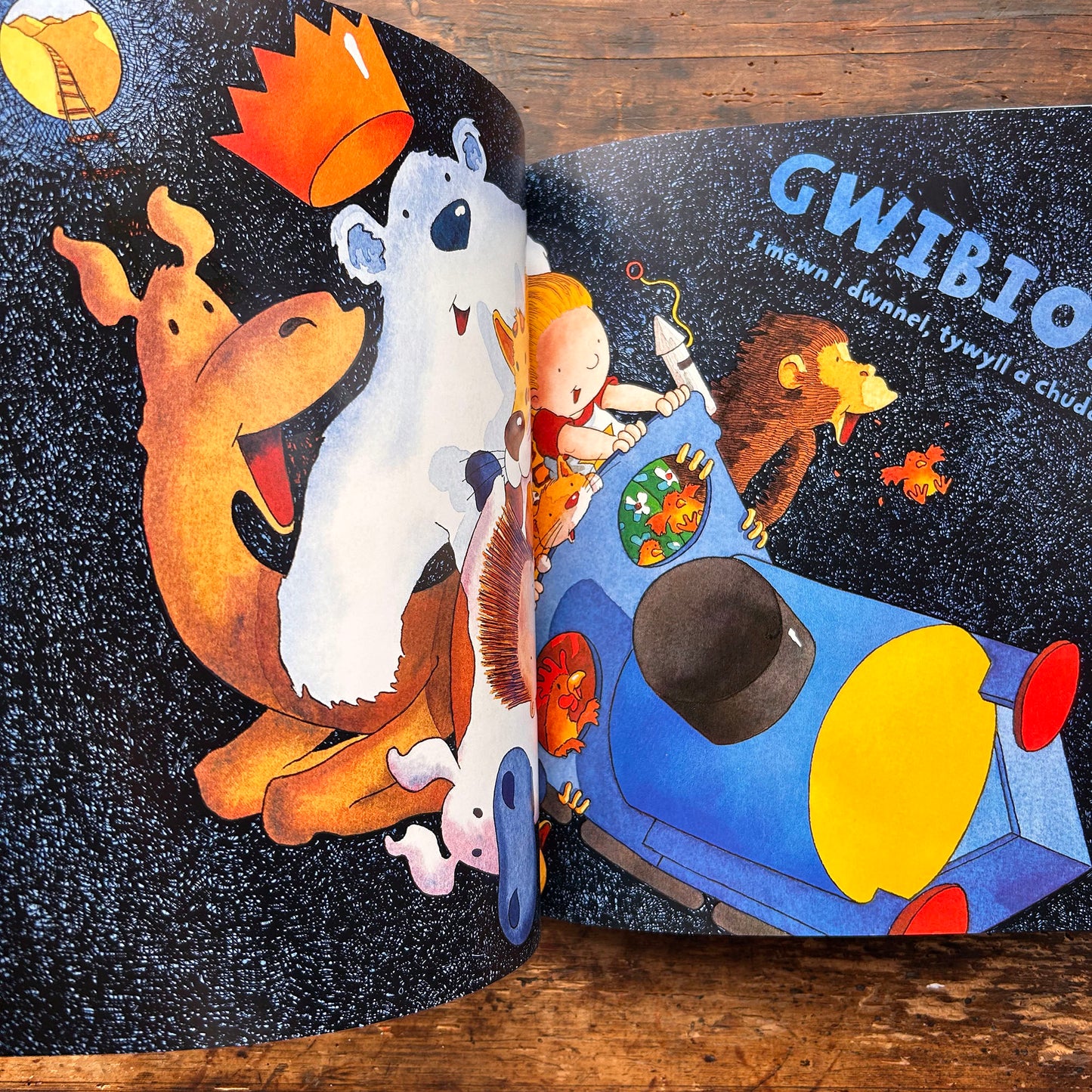 Trên Mawr Glas - Julia Jarman & Adrian Reynolds (Preloved)