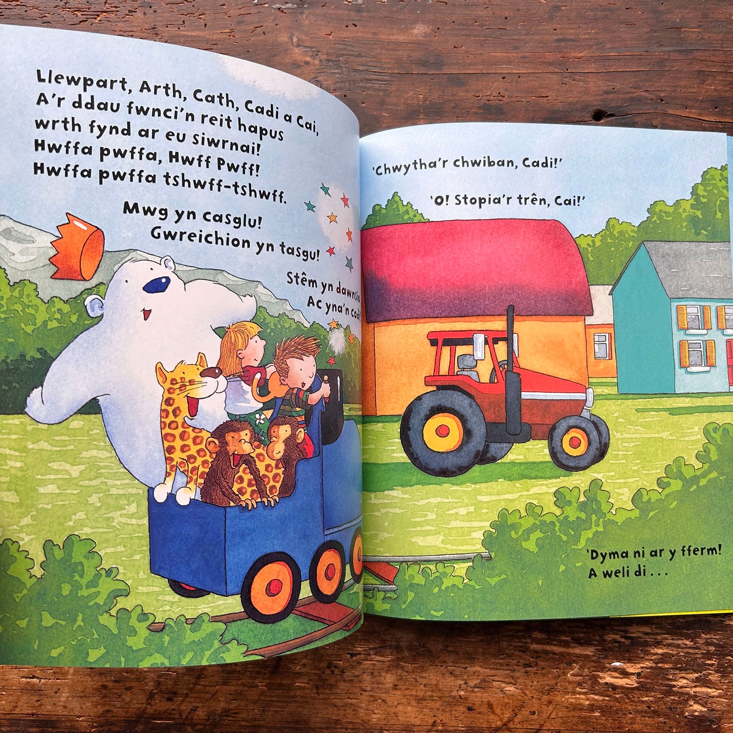 Trên Mawr Glas - Julia Jarman & Adrian Reynolds (Preloved)