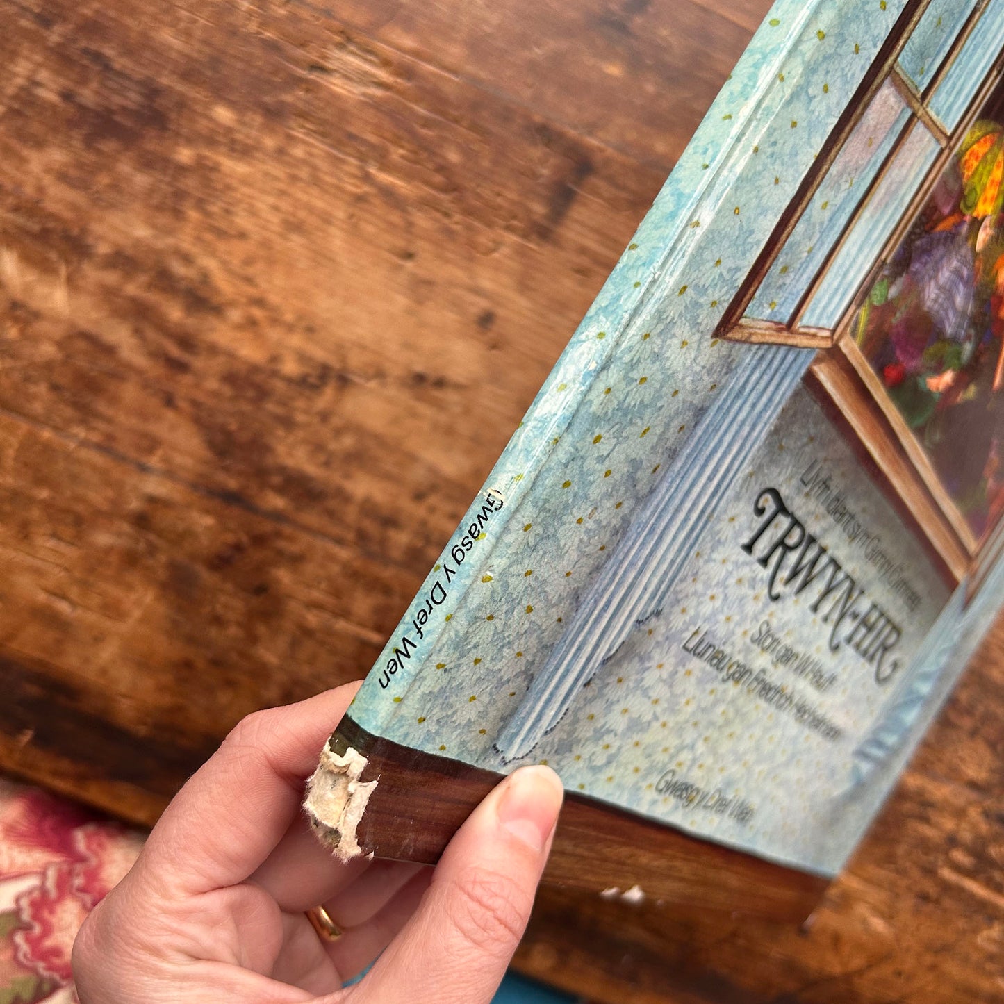 Trwyn Hir - W. Hauff, Friedrich Hechelmann & Roger Boore - 1975 (Preloved)