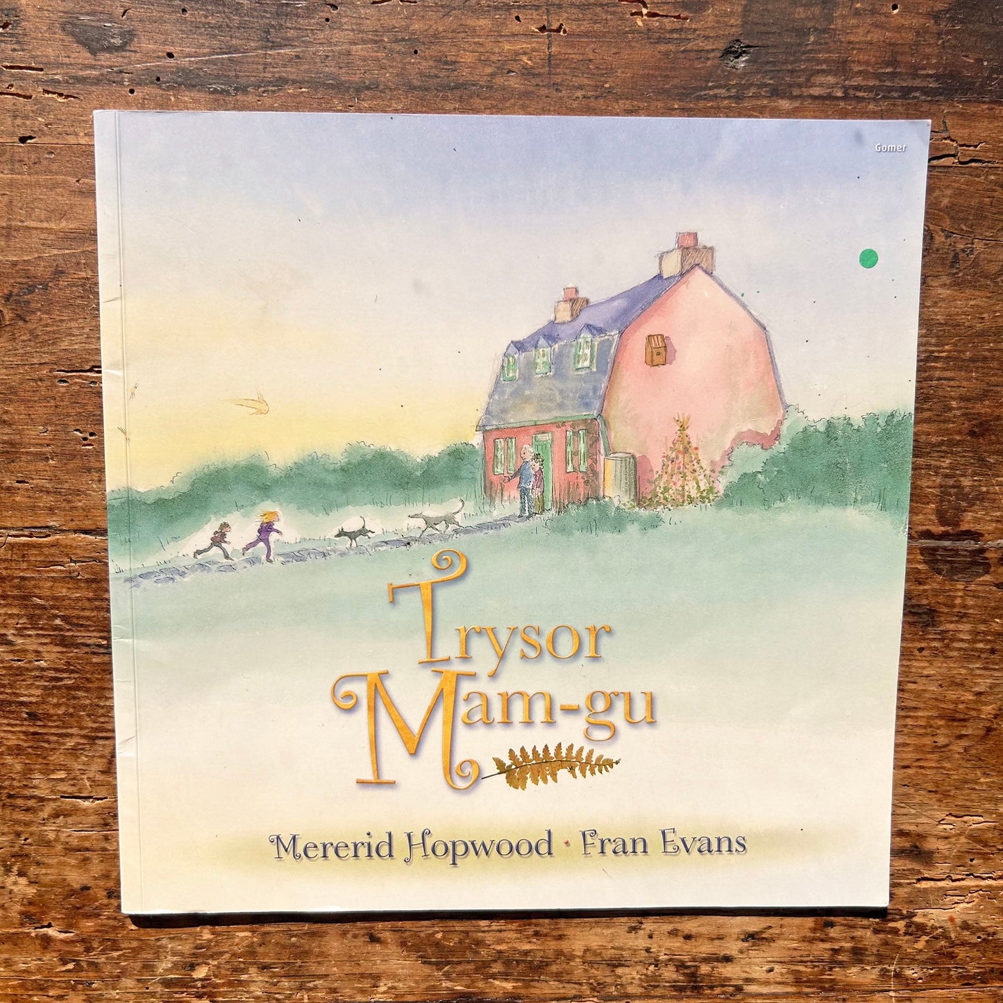 Trysor Mamgu - Mererid Hopwood & Fran Evans (Preloved)