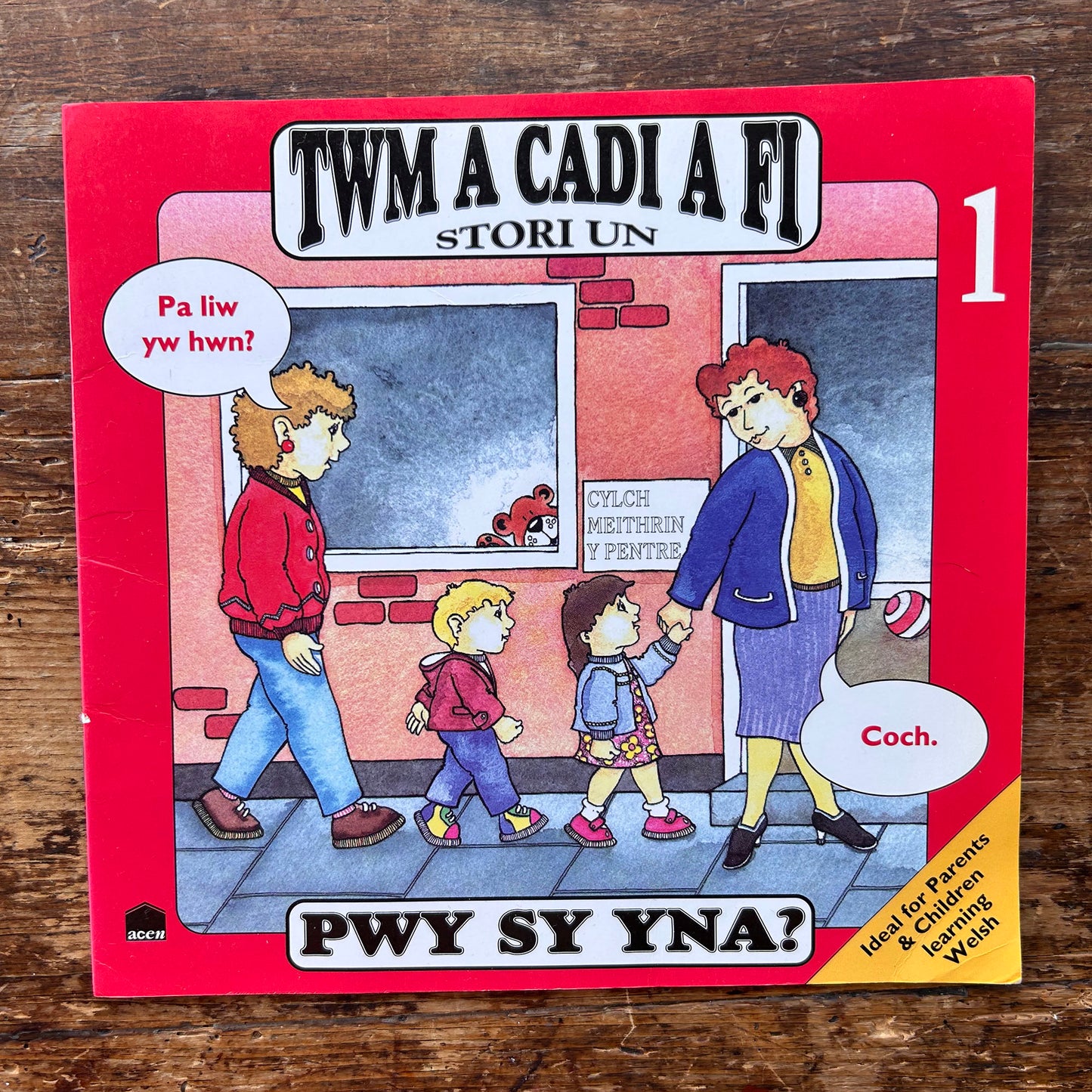 Twm A Cadi A Fi - Book: 1  Pwy Sy Yna - Anne Brooke / Sharon Martin 1993 (Preloved)