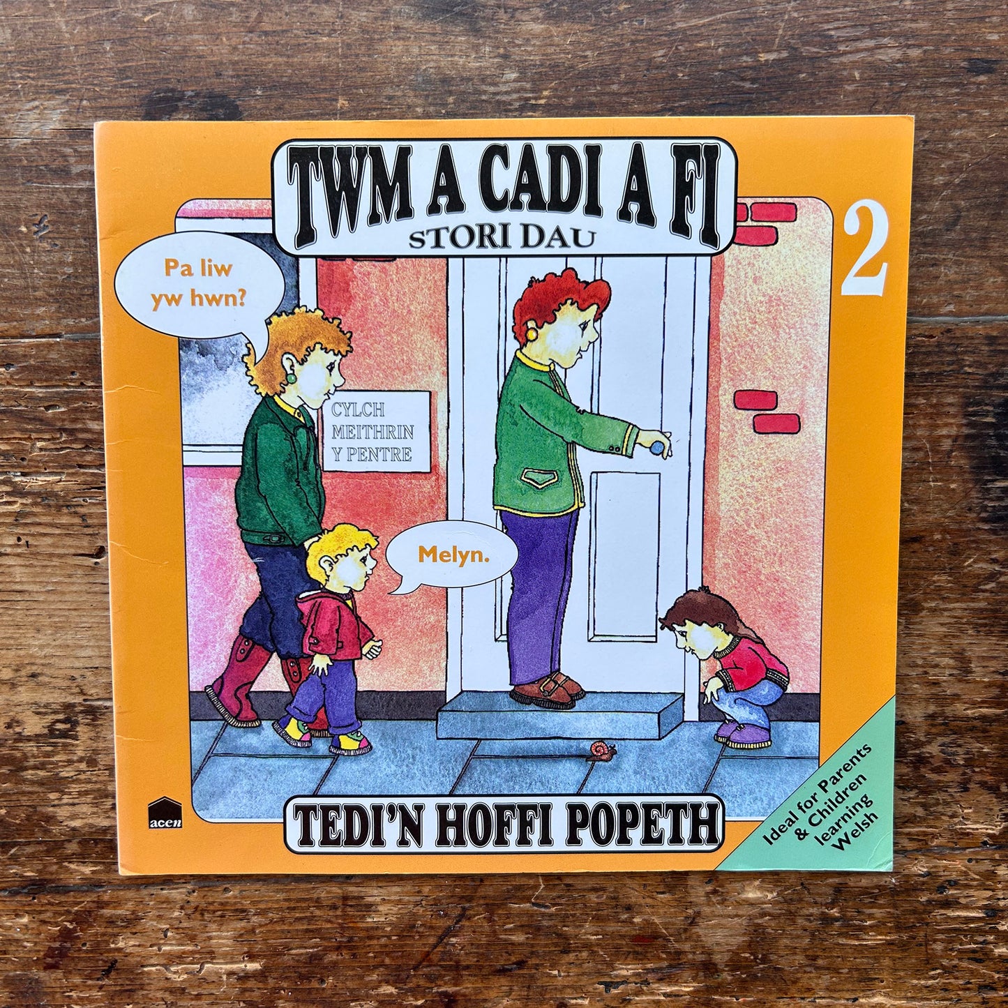 Twm A Cadi A Fi - Book: 2 Tedi'n Hoffi Popeth - Anne Brooke / Sharon Martin 1993 (Preloved)