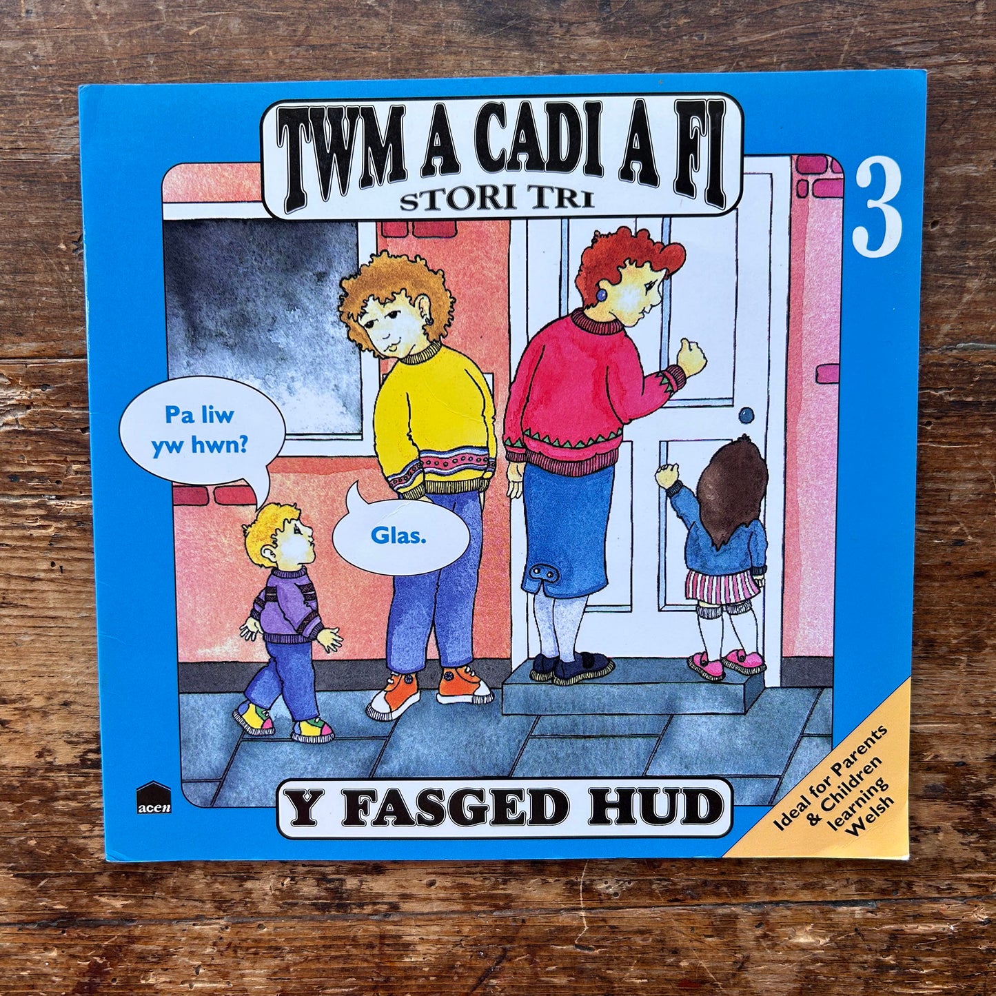 Twm A Cadi A Fi - Book: 3 Y Fasged Hud - Anne Brooke / Sharon Martin 1993 (Preloved)