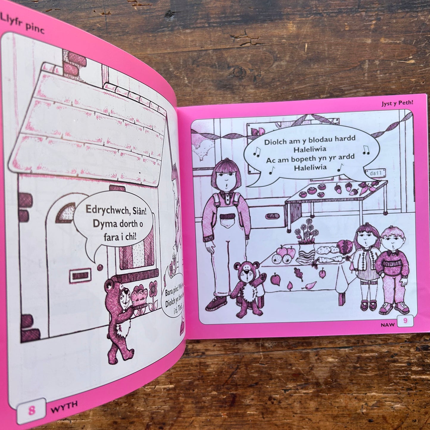 Twm A Cadi A Fi - Book: 4 Jyst Y Peth! - Anne Brooke / Sharon Martin 1993 (Preloved)