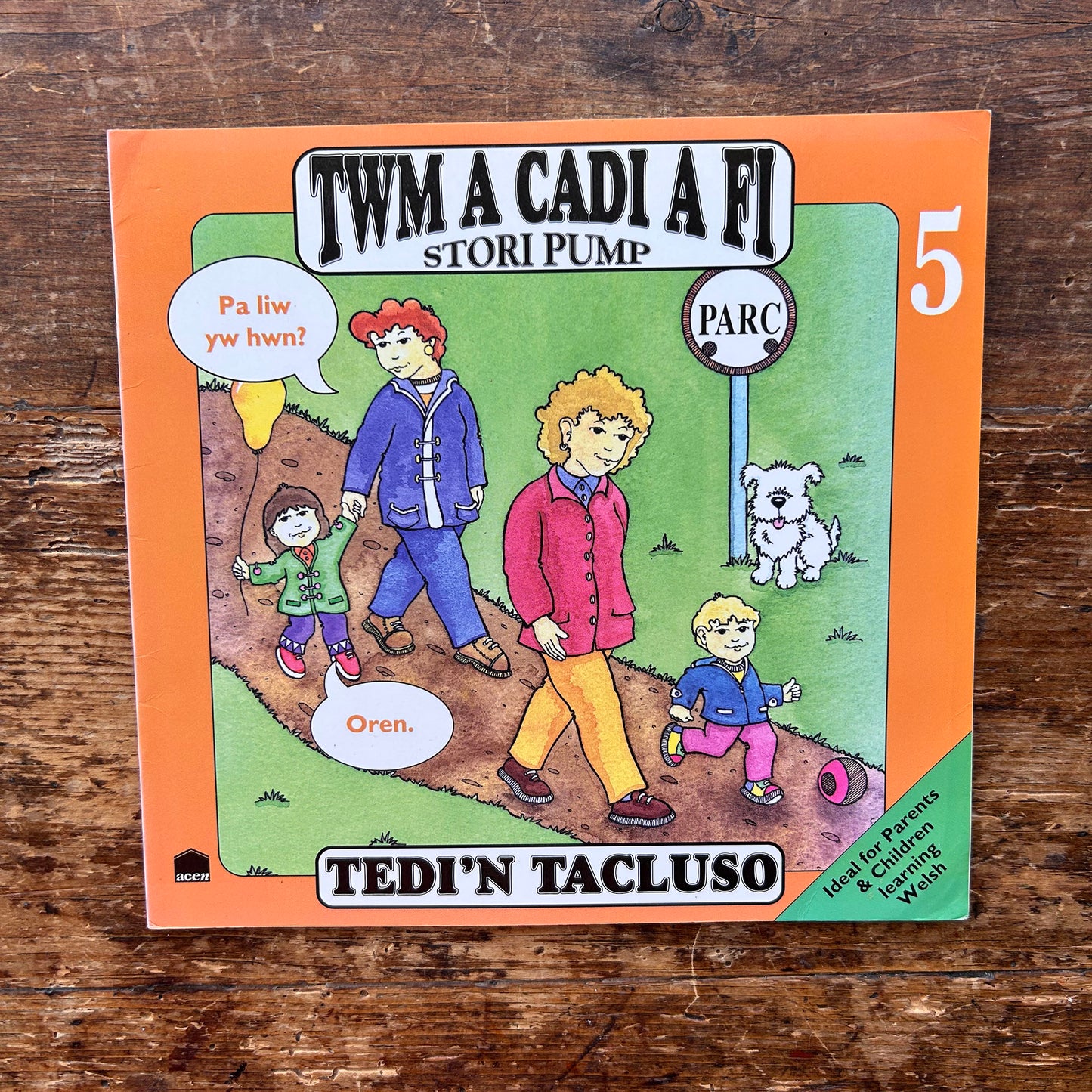 Twm A Cadi A Fi - Book: 5 Tedi'n Tacluso - Anne Brooke / Sharon Martin 1993 (Preloved)