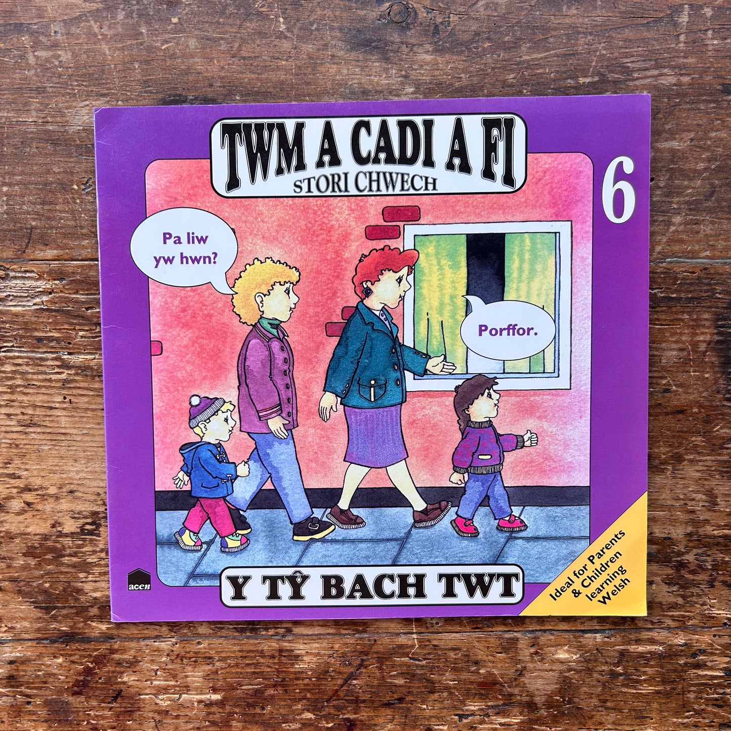 Twm A Cadi A Fi - Book: 6 Y Tŷ Bach Twt - Anne Brooke / Sharon Martin 1993 (Preloved)