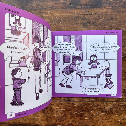 Twm A Cadi A Fi - Book: 6 Y Tŷ Bach Twt - Anne Brooke / Sharon Martin 1993 (Preloved)