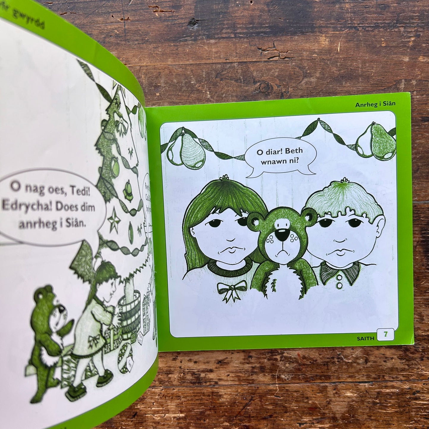 Twm A Cadi A Fi - Book: 7 Anrheg I Sian - Anne Brooke / Sharon Martin 1993 (Preloved)